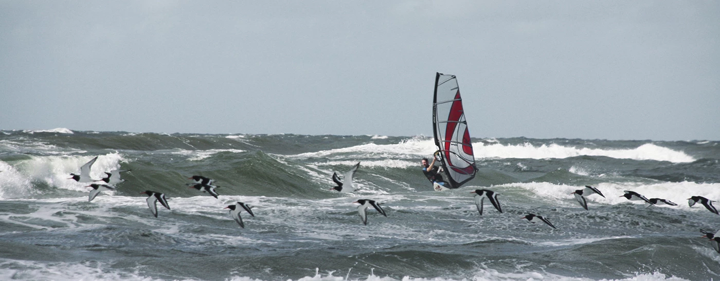 Windsurfen in Dänemark